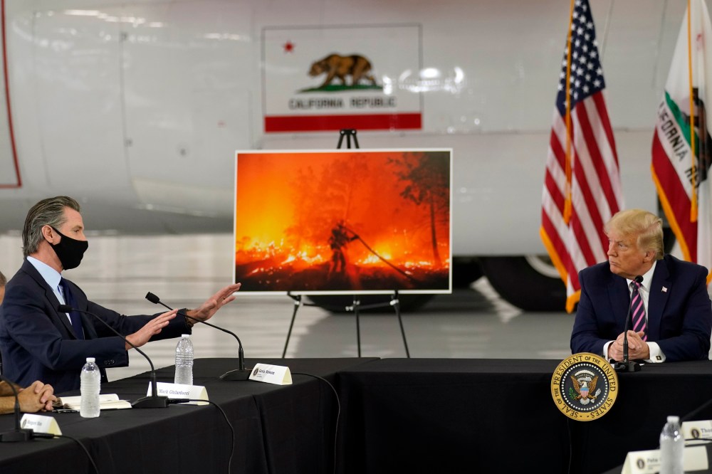 Image: Donald Trump