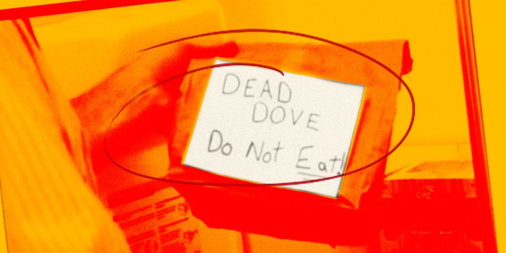 Image: A screen grab of a hand handing holding a brown bag that reads, "DEAD DOVE. Do Not Eat" with a red and yellow overlay. A red circle is scribbled over it