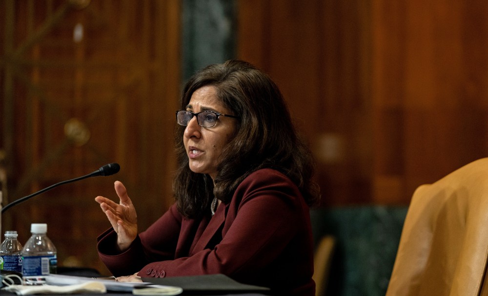 Image: Senate Budget Committee Examines OMB Director Nominee Neera Tanden