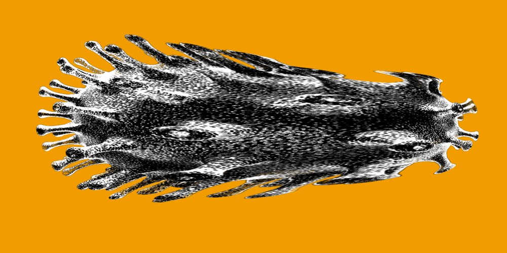 Photo illustration of a stretched Covid-19 virus spore.