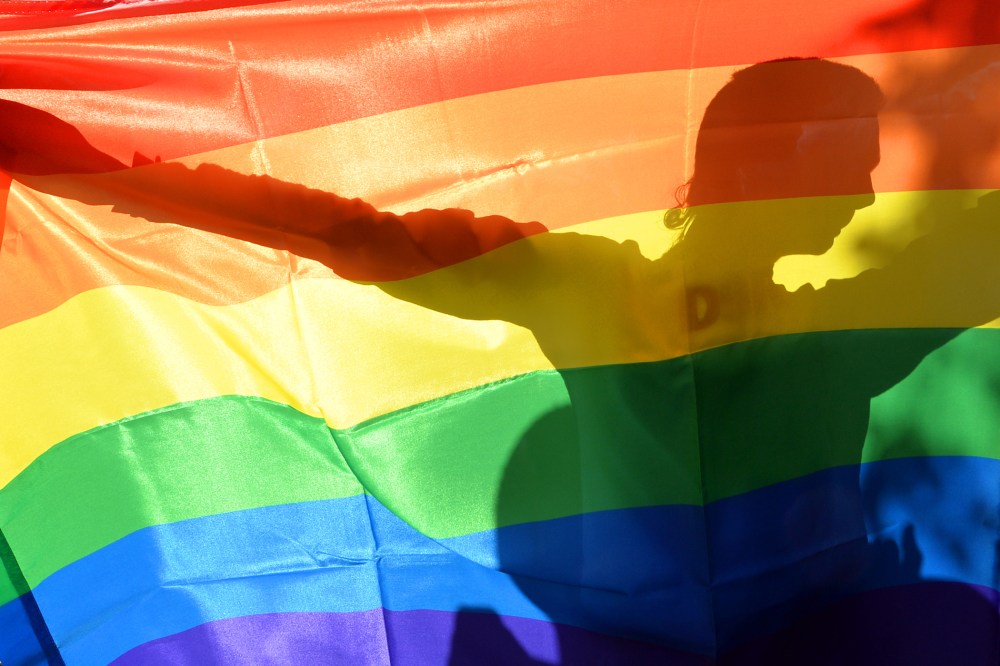 An activist's silhouette is seen through a rainbow flag during a gay rights parade in Kiev on May 25, 2013.