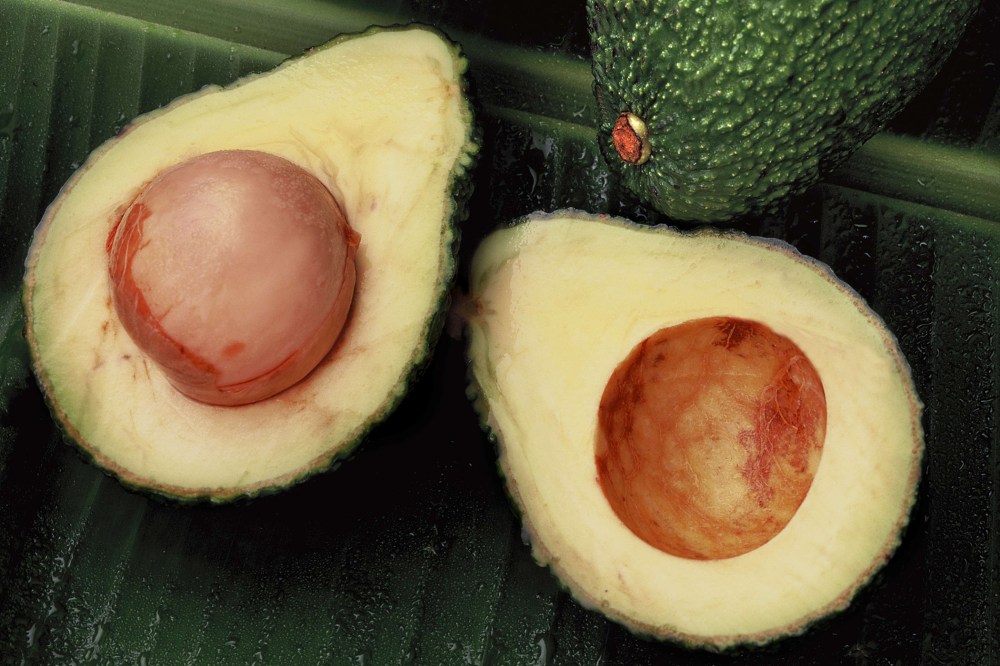 Avocados. (Photo by Luca Invernizzi Tettoni/TIPS/ZUMA)