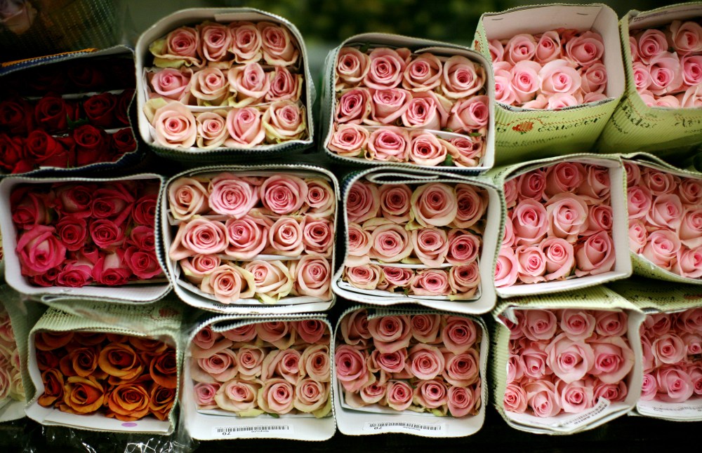 Flowers sit on a rack in a flower shop the day before Valentines day in the flower district on Feb. 13, 2009 in the Manhattan borough of New York City.