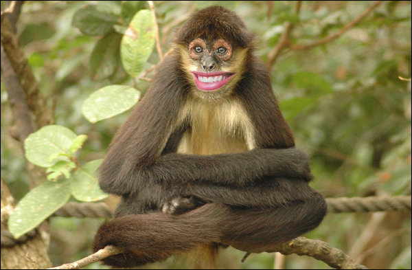 What does he know???