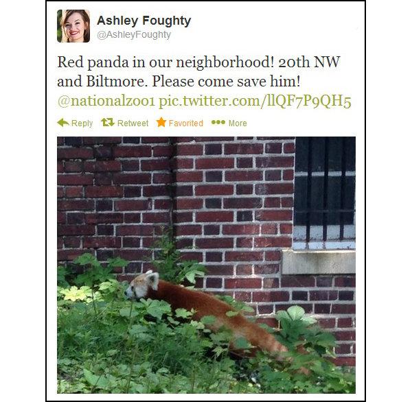 Links for the 6/24 TRMS