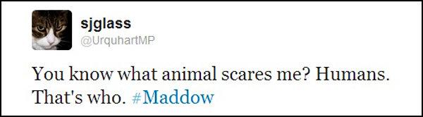 Links for the 6/21 TRMS