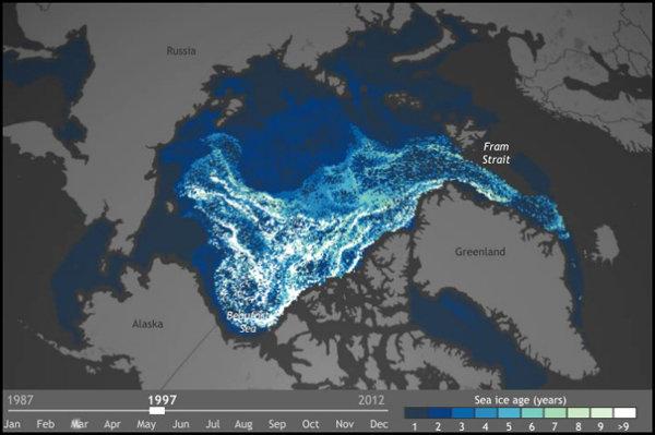 Arctic sea ice getting thinner, younger