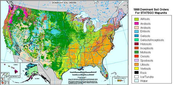 Paleo-politics: The really long view