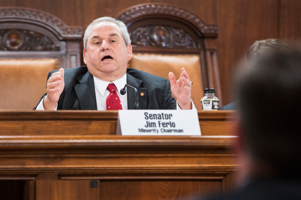 Senator Jim Ferlo speaks during a Senate Law and Justice Committee hearing, June 4, 2013.