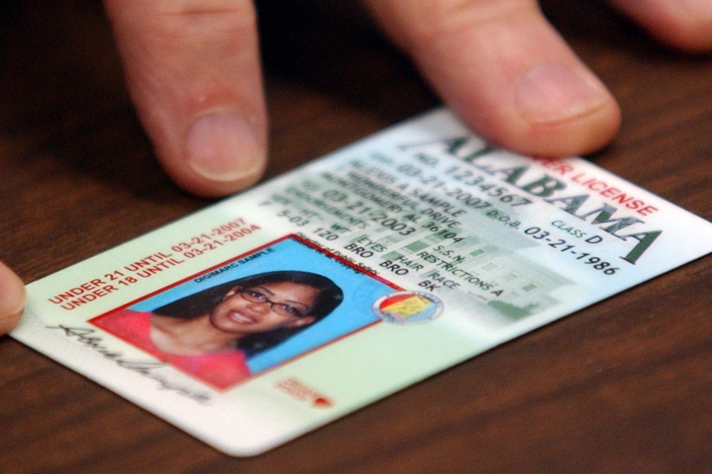 A sample of an Ala. drivers license is seen in Montgomery, Ala. (Photo by Dave Martin/AP)
