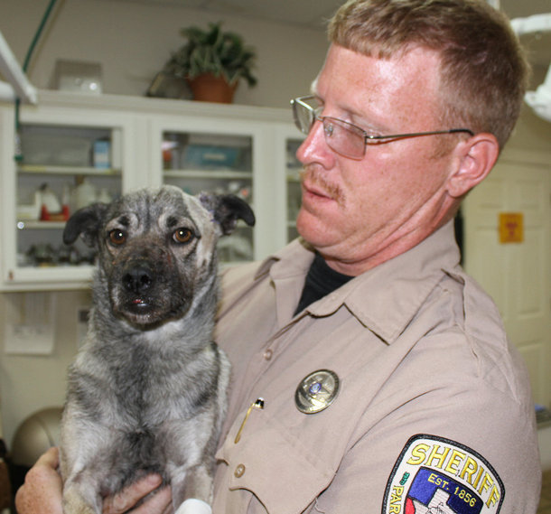 Hope in Texas - UPDATE