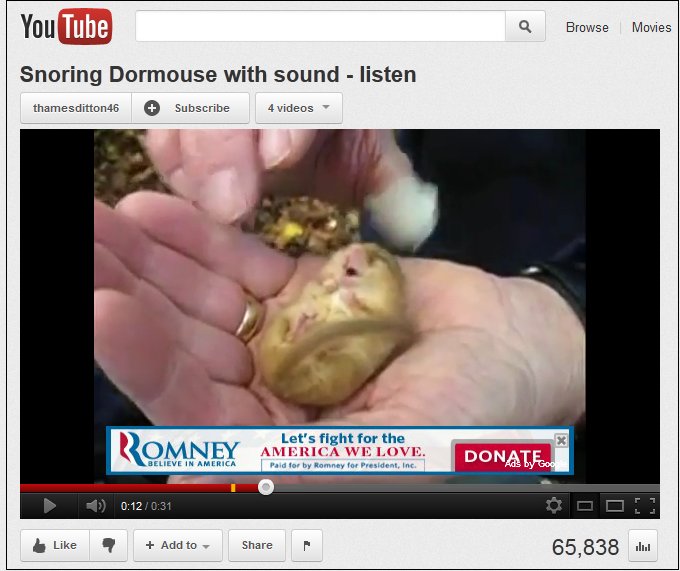 Political metaphor waits to happen: The snoring dormouse