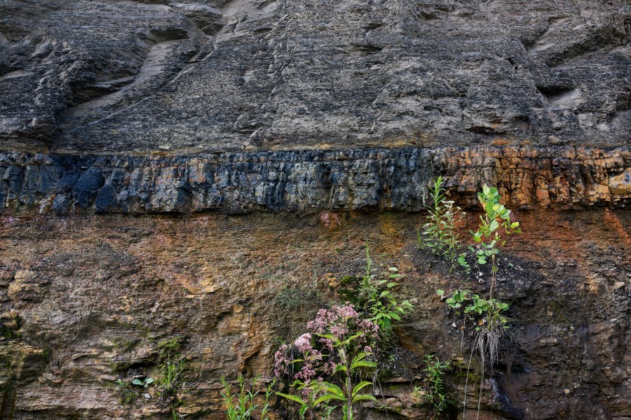 A belt of coal on a mountainside in Harlan, KY.