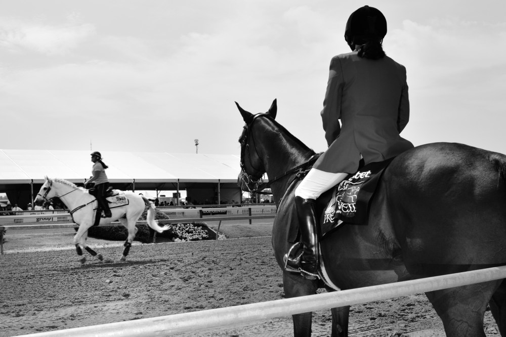 Warming up between the first and second race the the Preakness Stakes in Baltimore. (Photo by Jonno Rattman for MSNBC)