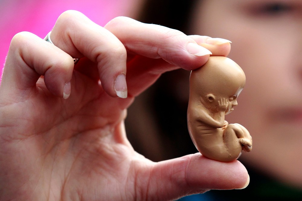 A pro-life campaigner holds up a model of a 12-week-old embryo during a protest outside a clinic on Oct. 18, 2012. (Photo by Cathal McNaughton/Reuters)