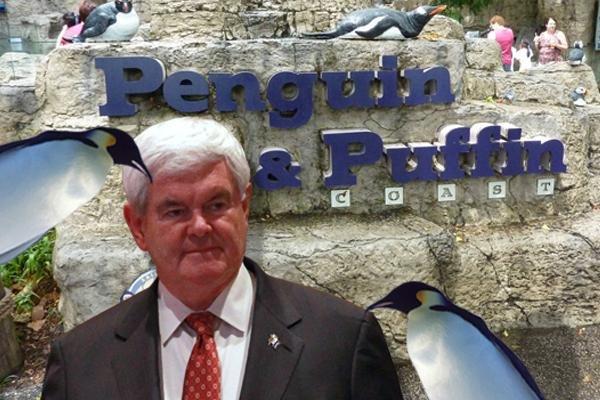Newt Gingrich bitten by penguin. Seriously.