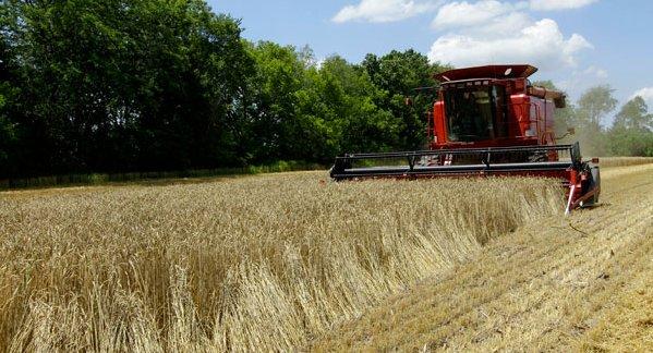 Why the Farm Bill matters