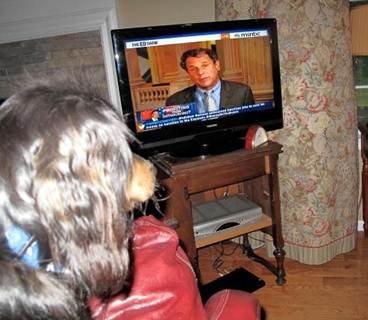 Even the dogs stop to watch 'The ED Show'