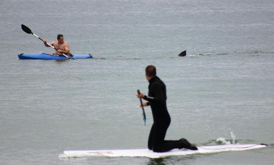 'ED Show' playbook: Mon., July 9