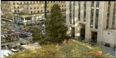 2012 tree arrives on Rockefeller Plaza (Photo courtesy of NBC NewsChannel)