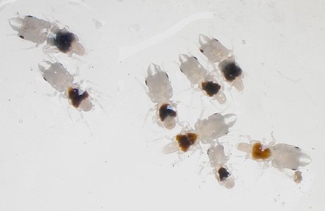 Morning Maddow: July 12