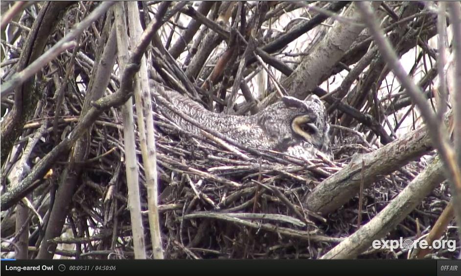 Morning Maddow: April 12