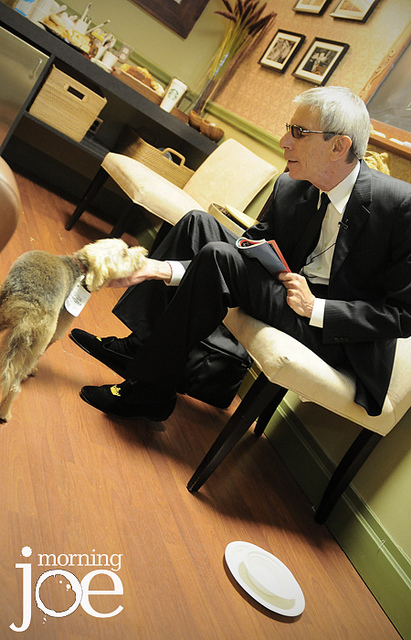 This is what happens when a dog visits Morning Joe