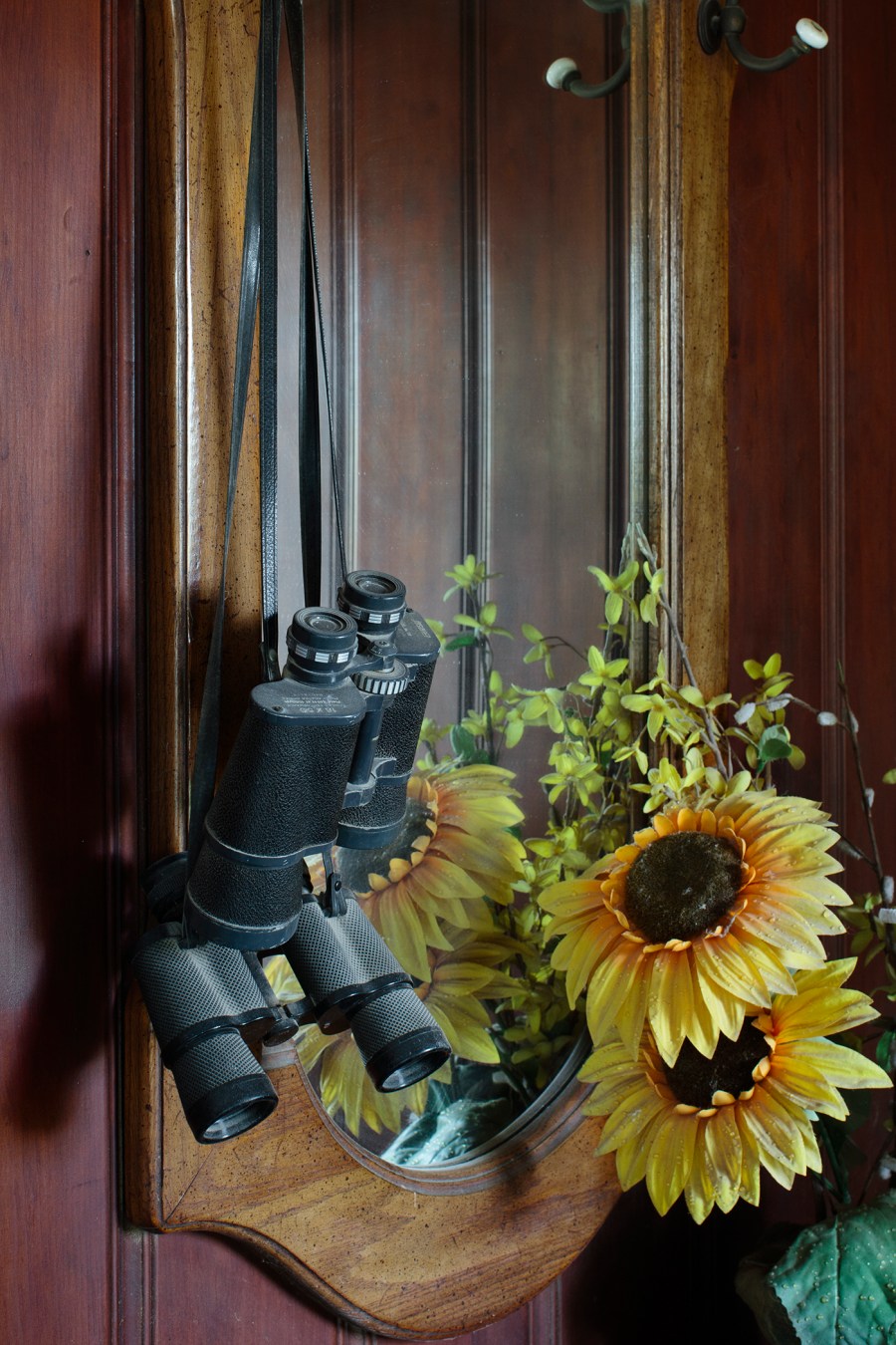 Binoculars used for spotting immigrants hang in Pamela Taylor's living room in Brownsville, Texas. (Photo by Bryan Schutmaat for MSNBC)