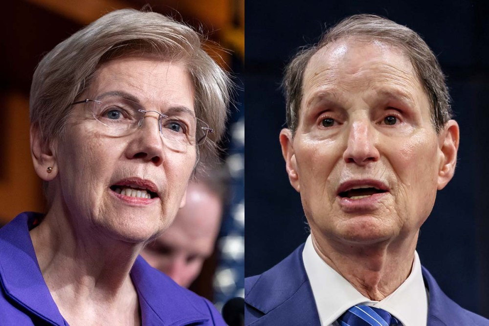 Elizabeth Warren ron wyden politics political politicians
