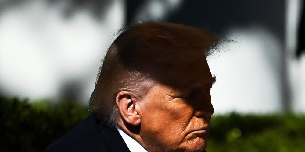 US President Donald Trump in the Rose Garden of the White House.