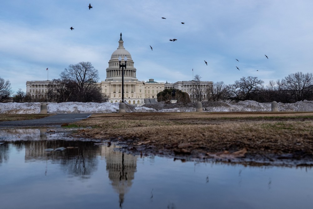 Birds fly around the Capitol, which is seen both in true form and as a reflection in a puddle.