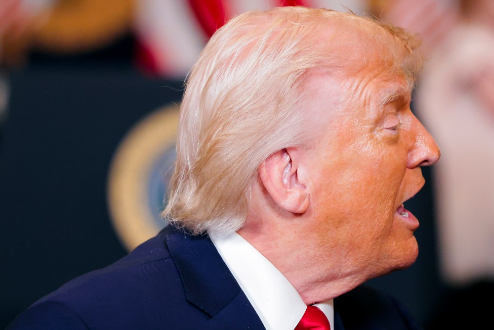 In this closeup shot Donald Trump is seen from the side.